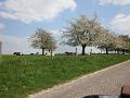 4de Nonkelfransrit (61)